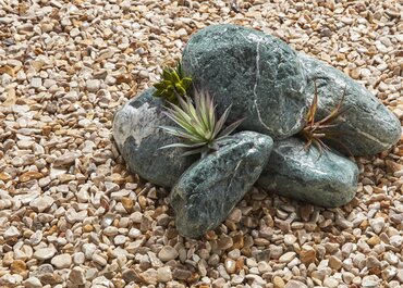 Premium Natural Cobble - image 2