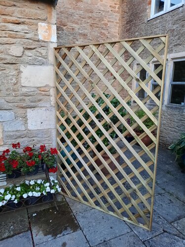 buy softwood lattice trellis
