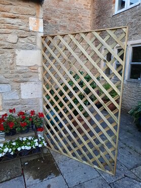 buy softwood lattice trellis