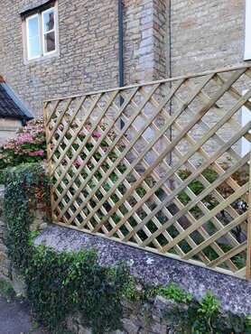 buy softwood lattice trellis
