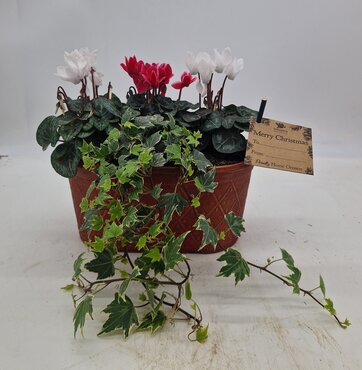 Prisma Planter Oval Antique Red