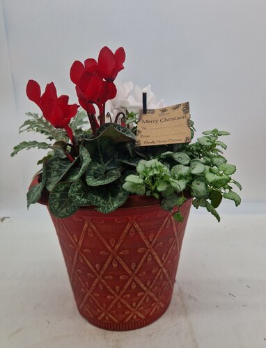 Prisma Planter Round Antique Red