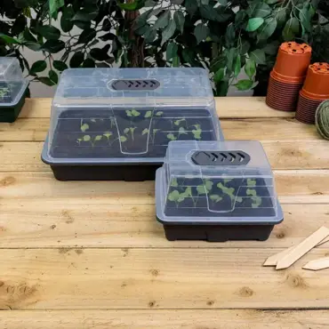 Propagator Set Small