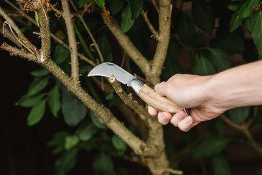 Pruning Knife - image 2