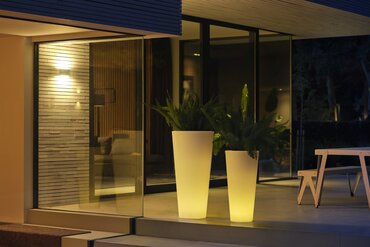 Pure Straight High Smart Led 40 Uk Transparent - image 4