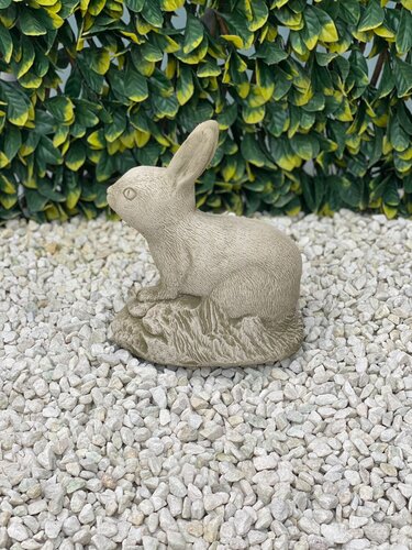 Rabbit Sherwood - image 2