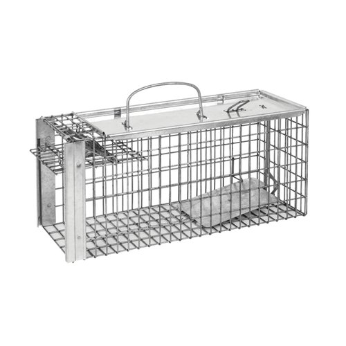 Rat/Squirrel  Cage Trap - image 1