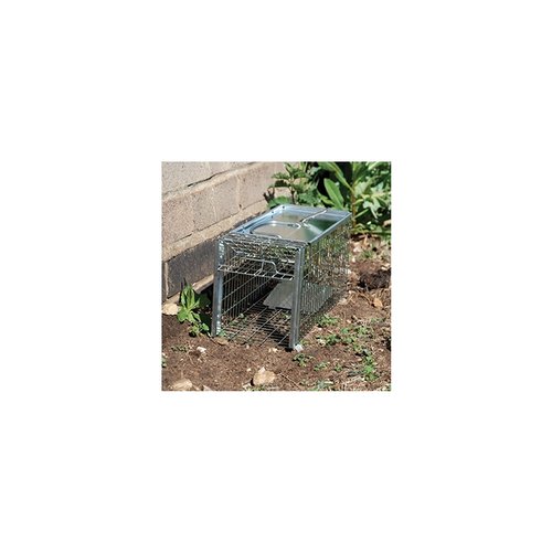 Rat/Squirrel  Cage Trap - image 4
