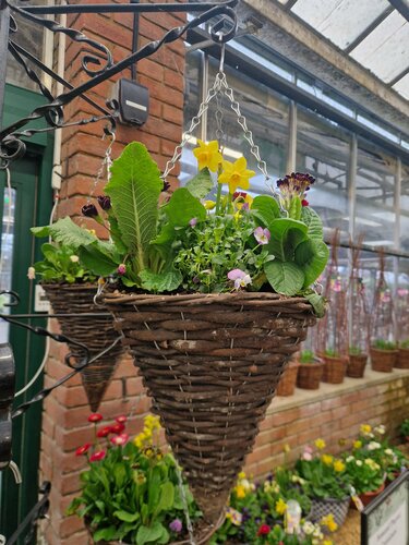 Rattan Cone Hanging Basket 30cm