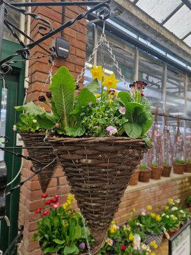 Rattan Cone Hanging Basket 30cm