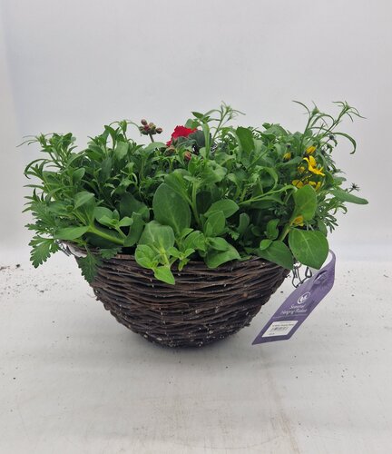 Rattan Hanging Basket 14"