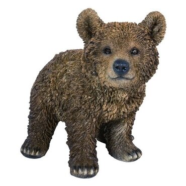 Real Life Brown Bear A