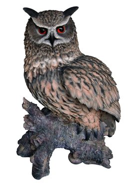 Real Life Eagle Owl - image 1