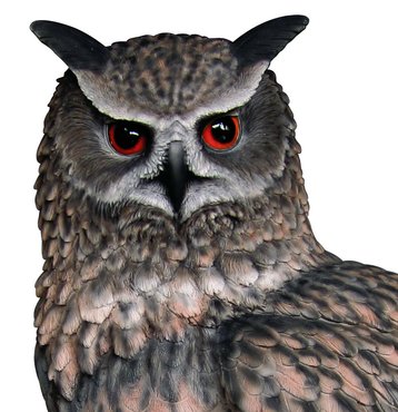 Real Life Eagle Owl - image 2
