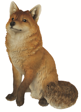 Real Life Fox Sitting A