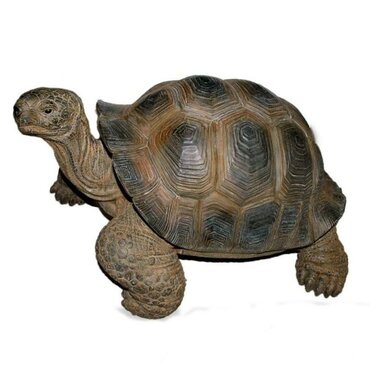 Real Life Giant Tortoise D