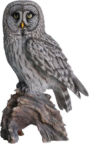 Real Life Great Grey Owl
