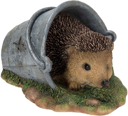 Real Life Hedgehog In Rusty Pail D