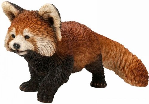 Real Life Red Panda B