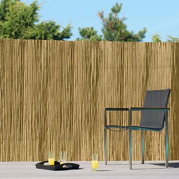 Reed  Screening 180x380cm - image 1