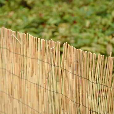 Reed  Screening 180x380cm - image 2