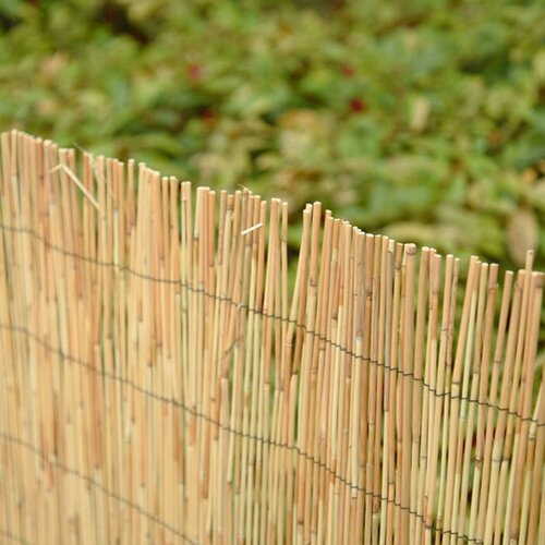 Reed  Screening 90x380cm - image 2