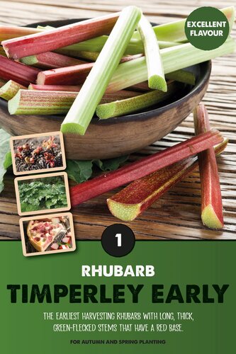 Rhubarb (Timperley Early)