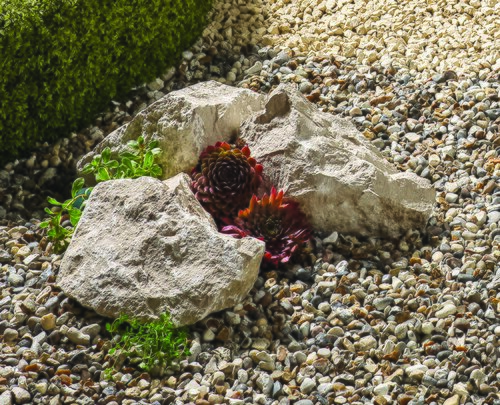 Rockery Dove Grey - image 1