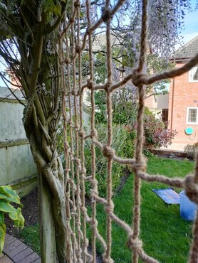 Rope Trellis 0.6x1.8m - image 5