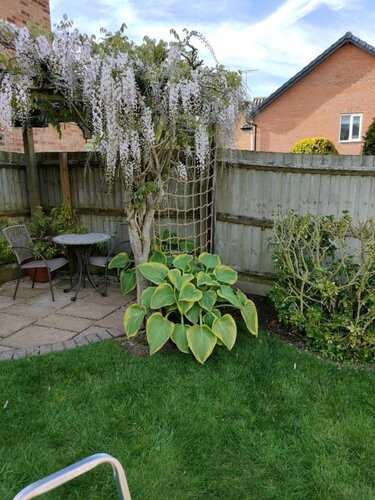 Rope Trellis 1.2x1.8m - image 4