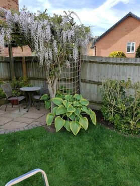 Rope Trellis 1.5x1.8m - image 4