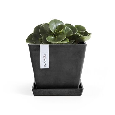 Rotterdam Eco Pot Black 20cm - image 2