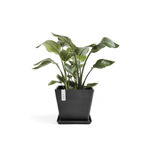 Rotterdam Eco Pot Black 40cm - image 2
