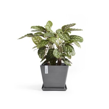 Rotterdam Eco Pot Grey 50cm - image 2