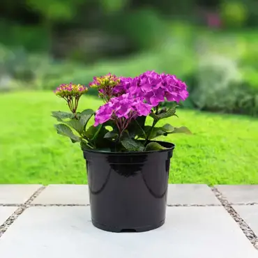 Round Container Pots 5L 3Pk UK - image 2