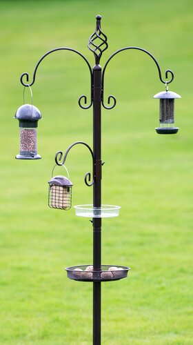 Royale Bird Station - image 1
