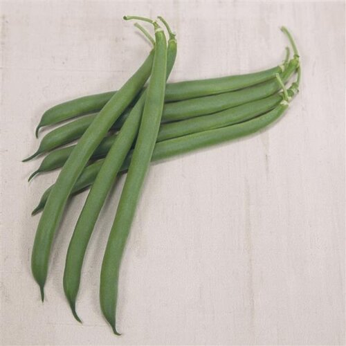 Runner Bean White Lady 6 Pack