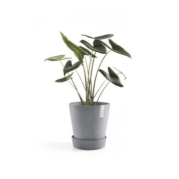 Saucer On Wheels Grey 34cm - image 4