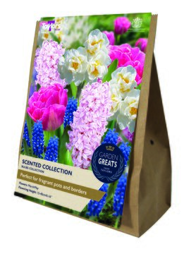 Scented Collection