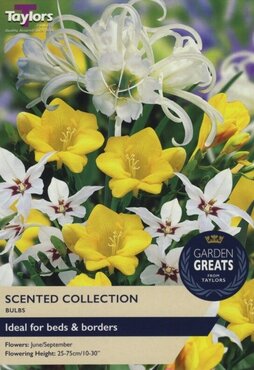 Scented Collection