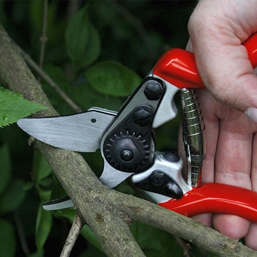 Expert Fine Bypass Pruner - image 2