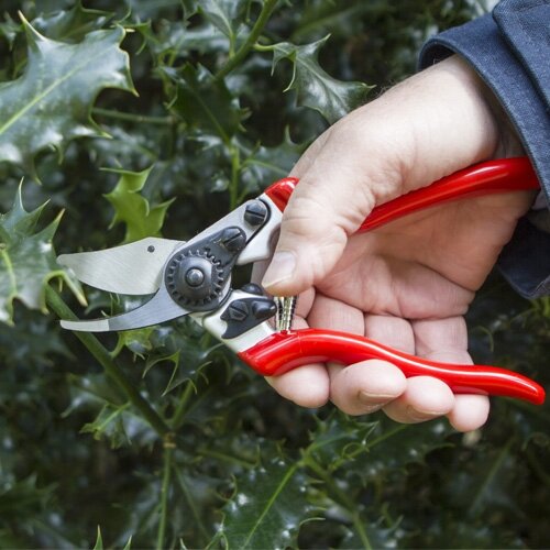 Expert Fine Bypass Pruner - image 3
