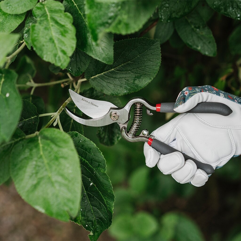 Secateurs Traditional Bypass Stewarts Garden Centre