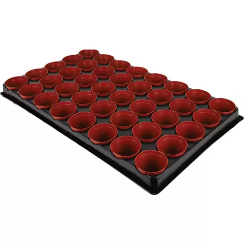Seed & Cutting Tray with 40 Pots - image 1