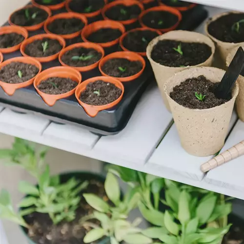 Seed & Cutting Tray with 40 Pots - image 3