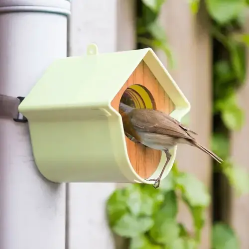 Seed Feeder Green Evie SingingFriend - image 1