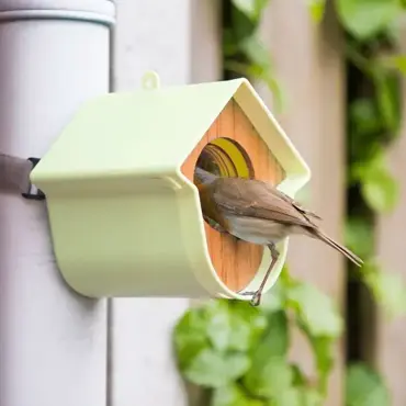 Seed Feeder Green Evie SingingFriend