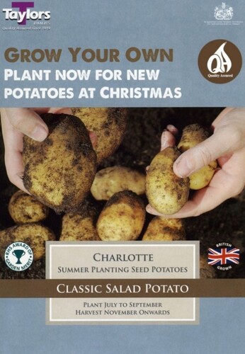 Seed Potato Charlotte