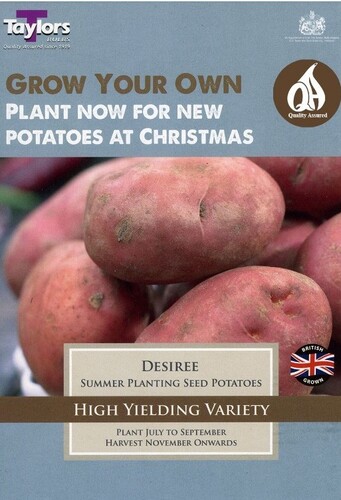 Seed Potato Desiree