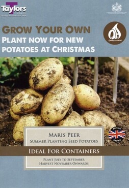 Seed Potato Maris Peer